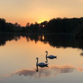rthenweiher_01